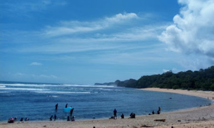 Kegiatan Dilakukan di Pantai Ngliyep