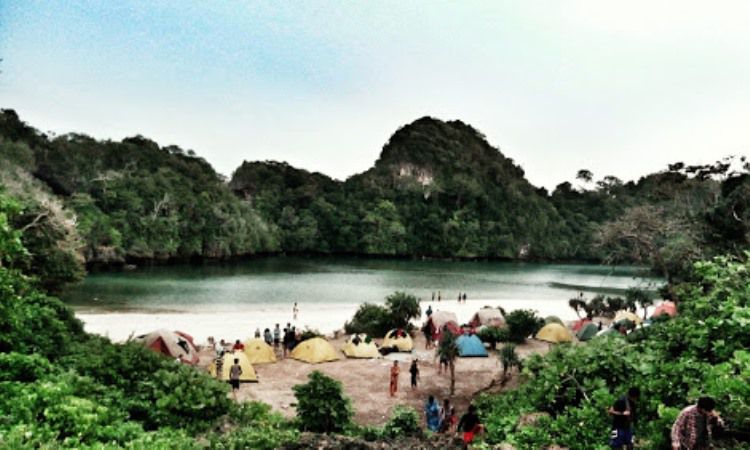 Kegiatan Dilakukan di Pulau Sempu