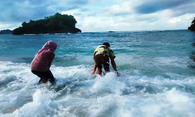 Kegiatan di Pulau Sempu