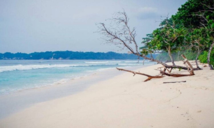 Pantai Sendiki, Pantai Tersembunyi yang Kaya Pesona di Malang