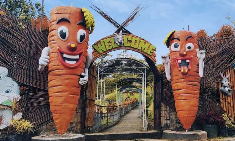 Tiket Masuk Taman Kelinci