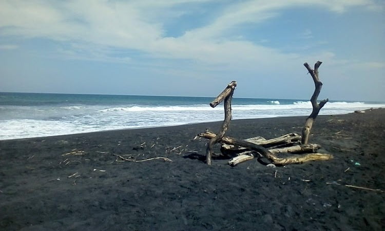 Tiket Pantai Trisik