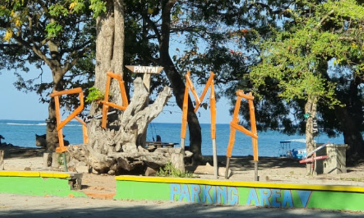 Daya Tarik Dimiliki Taman Nasional Baluran