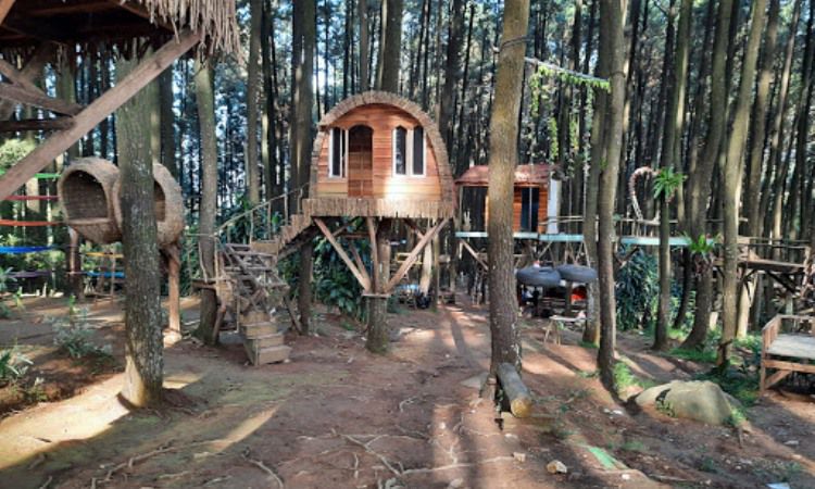 Daya Tarik Hutan Pinus Sentul