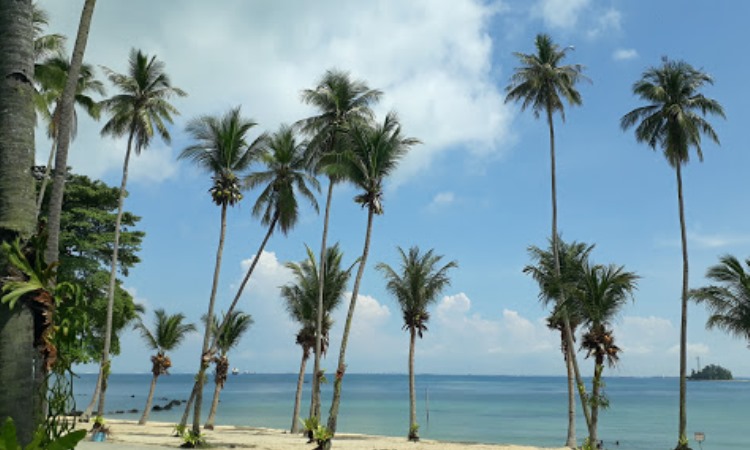 Daya Tarik Nuvasa Bay Batam