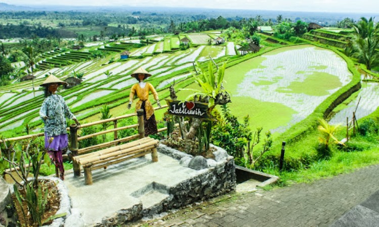 Fasilitas Desa Wisata Jatiluwih Bali