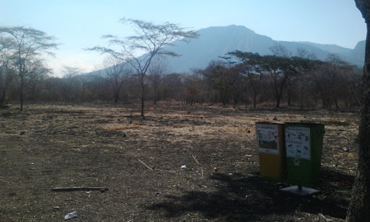Fasilitas Taman Nasional Baluran