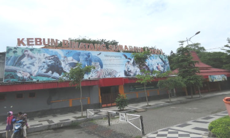 Harga Tiket Kebun Binatang Surabaya