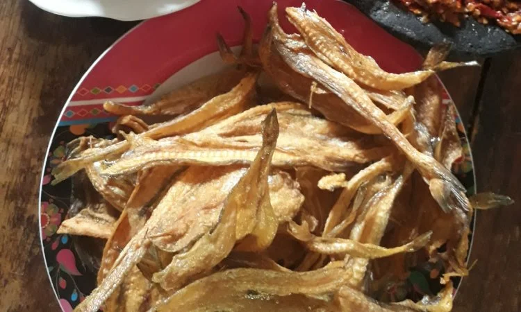 Ikan Asin Pipih
