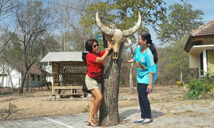 Kegiatan Dilakukan di Taman Nasional Baluran