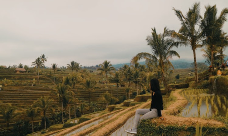 Kegiatan di Desa Jatiluwih