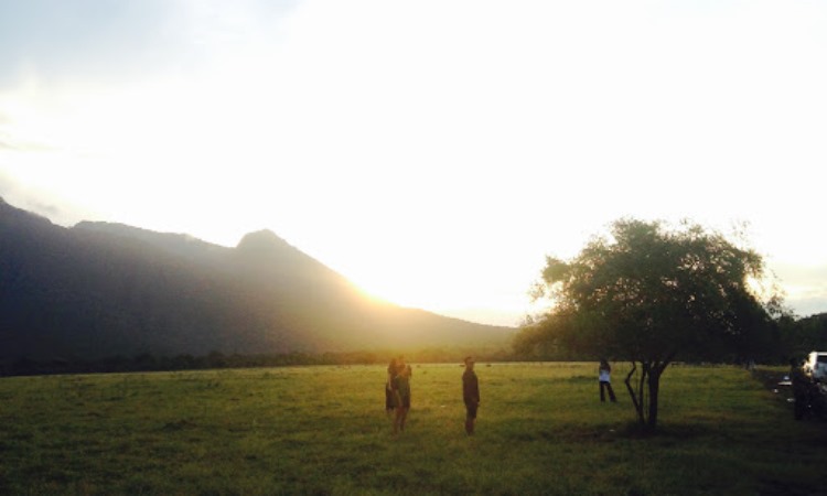Kegiatan di Taman Nasional Baluran