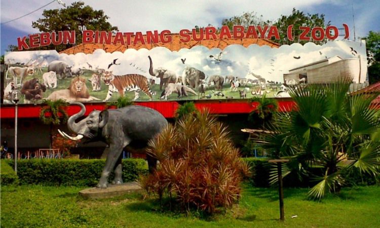 Tiket Kebun Binatang Surabaya