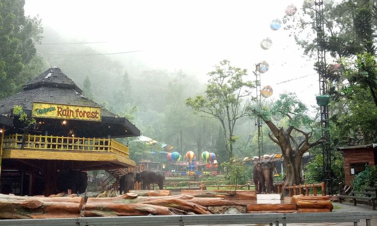 Aktivitas Lain Taman Safari Bogor