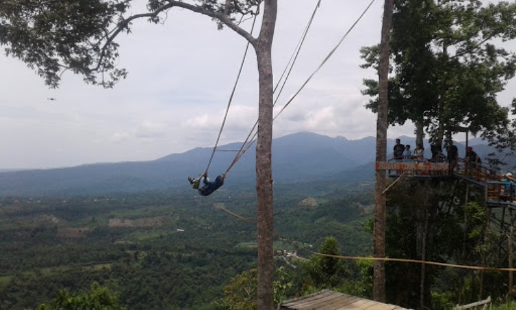 Aktivitas Menarik di Puncak Akui