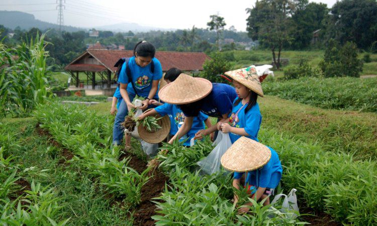 Aktivitas Seru di Kuntum Farmfield