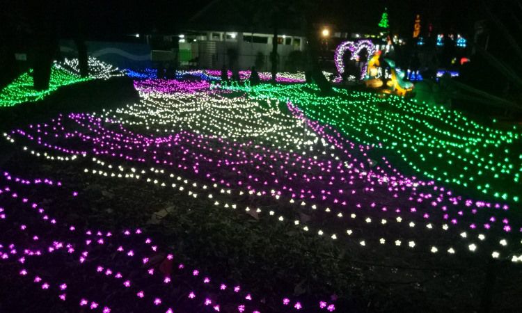 Aktivitas Taman Pelangi Jogja