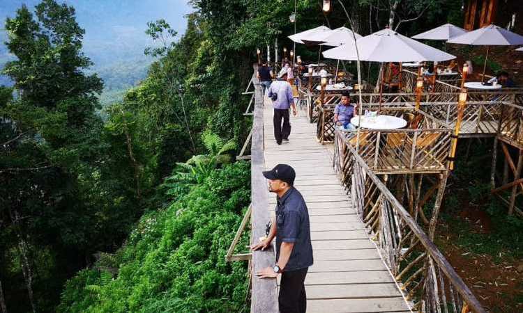 Rumah Pohon Habitat, Destinasi Wisata Kekinian di Langkat