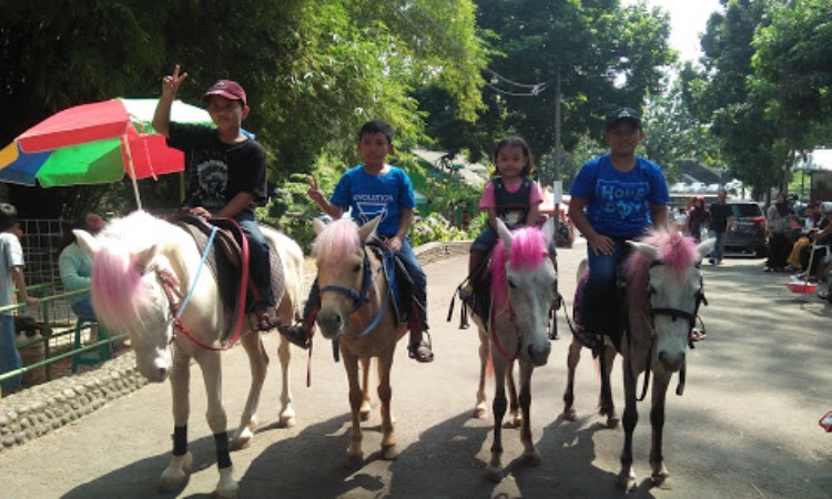 Aktivitas di SKI Bogor