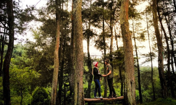 AktivitasDilakukan di Curug Ciputri