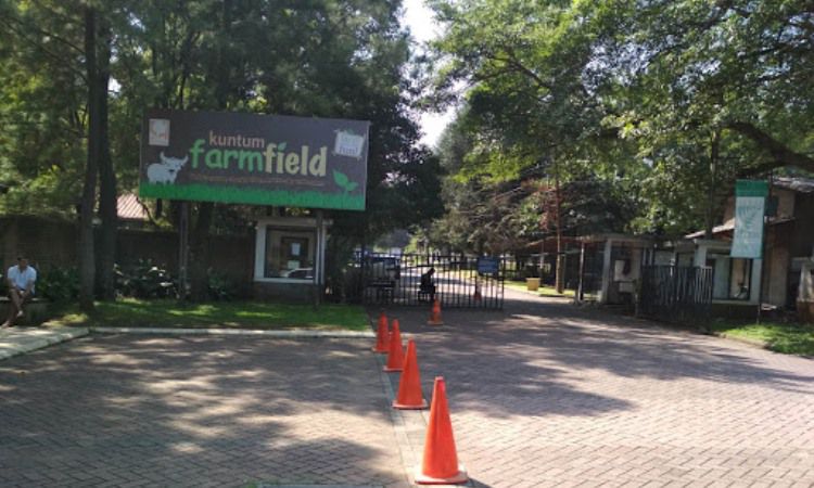 Alamat Kuntum Farmfield