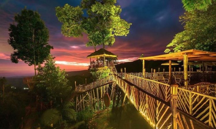Daya Tarik Dimiliki Rumah Pohon