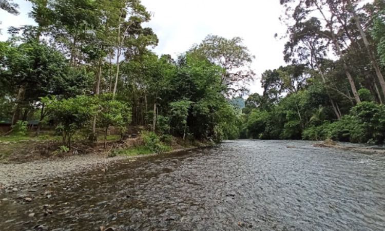 Daya Tarik Landak River