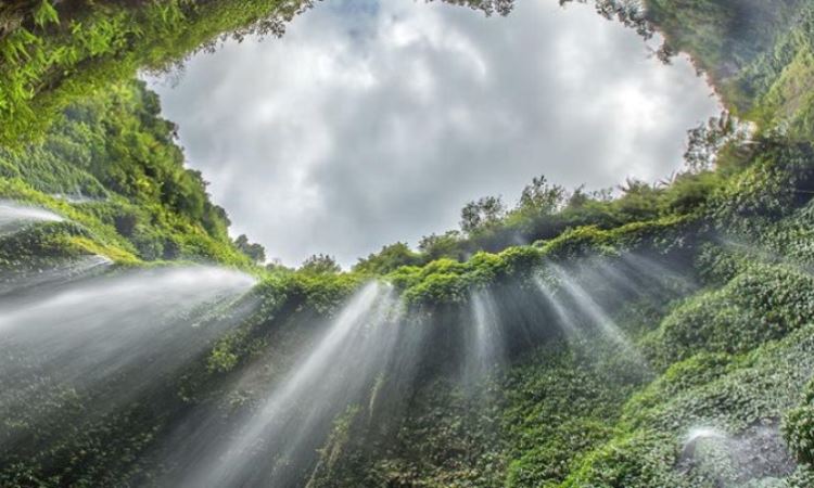 Daya Tarik dari Air Terjun Madakaripura