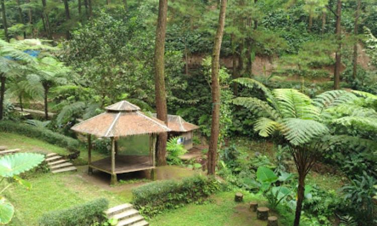 Fasilitas di Curug Cipeuteuy