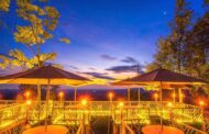 Rumah Pohon Habitat, Destinasi Wisata Kekinian di Langkat Rumah Pohon Habitat, Destinasi Wisata Kekinian di Langkat