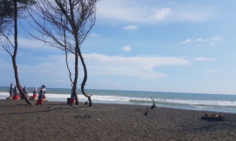Kegiatan Pantai Goa Cemara
