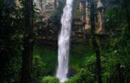 Air Terjun Putri Malu, Objek Wisata Alam yang Memesona di Way Kanan Air Terjun Putri Malu, Objek Wisata Alam yang Memesona di Way Kanan