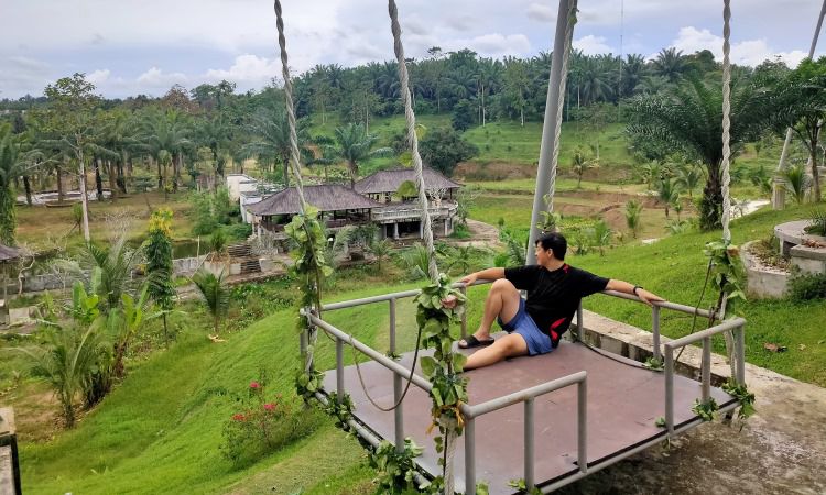 Aktivitas Di T Garden (Little Bali)