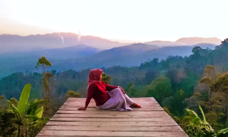 Aktivitas Menarik di Kamojang Ecopark