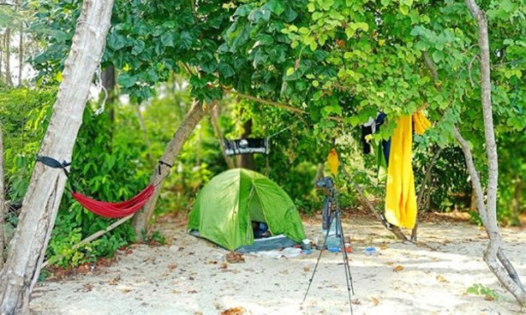Aktivitas Menarik di Pulau Semak Daun