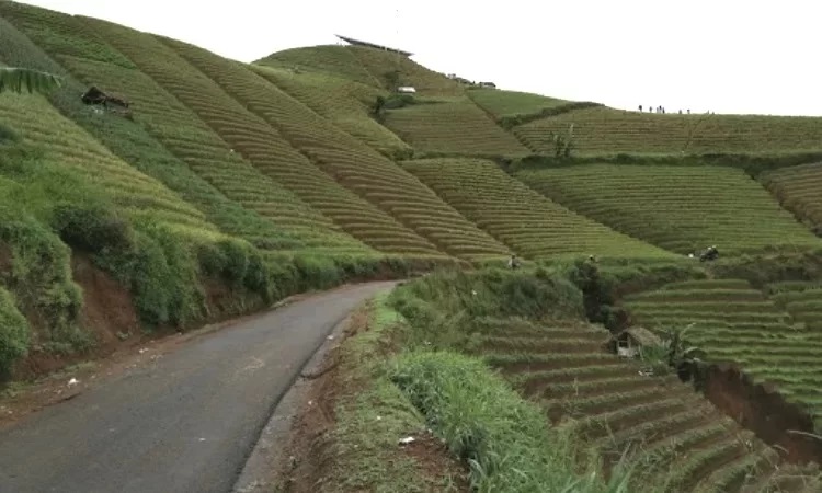 Alamat Terasering Panyaweuyan