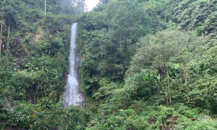 Daya Tarik Curug Cijalu