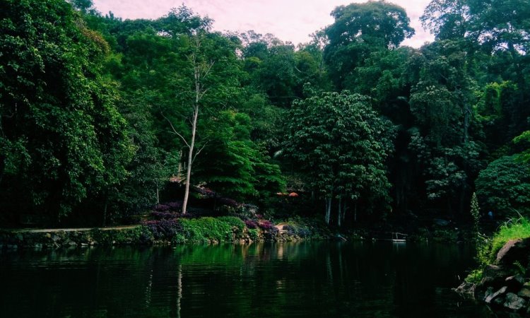Daya Tarik Dimiliki Situ Cipanten