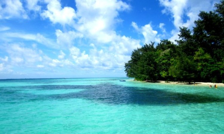 Daya Tarik Pulau Semak Daun