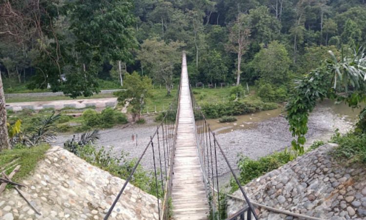 Daya Tarik Tangkahan Langkat