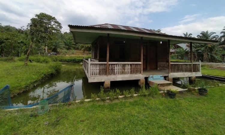 Fasilitas di Tangkahan Langkat