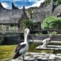 Kebun Binatang Bukittinggi, Tempat Rekreasi & Edukasi Satwa Tertua di Sumatera Barat