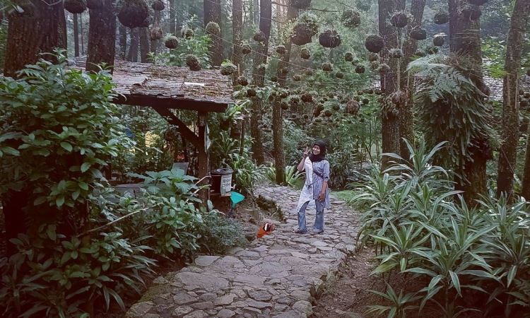 Kegiatan di Curug Cilember