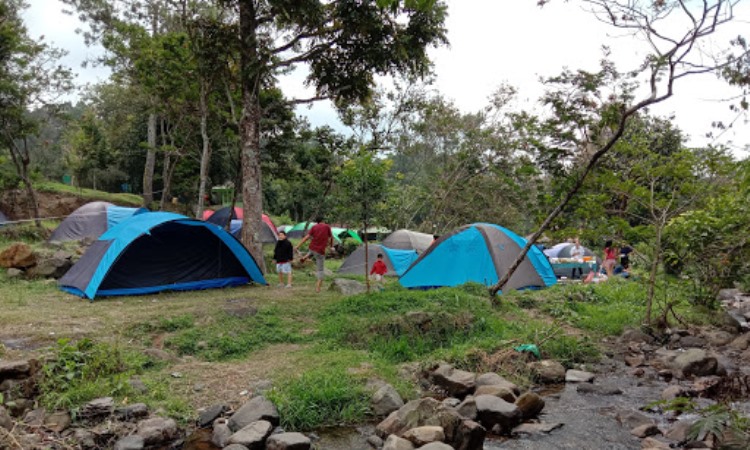 Kegiatan di Kebun Raya Cibodas
