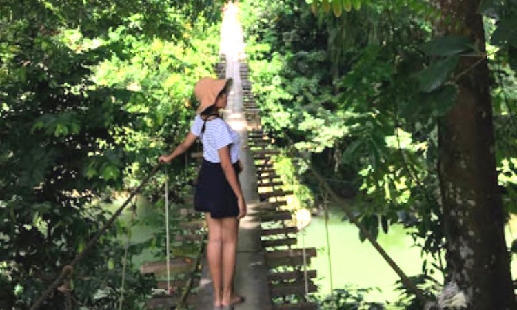 Kegiatan di Tangkahan Langkat