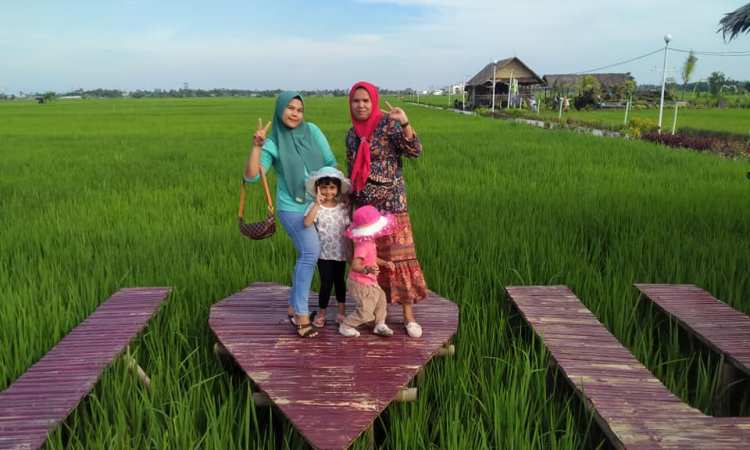 Kegiatan di Wisata Sawah