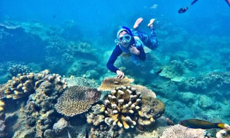 Aktivitas kepulauan karimunjawa
