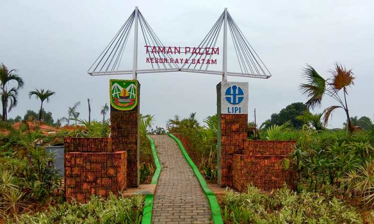 Harga Tiket Kebun Raya Batam