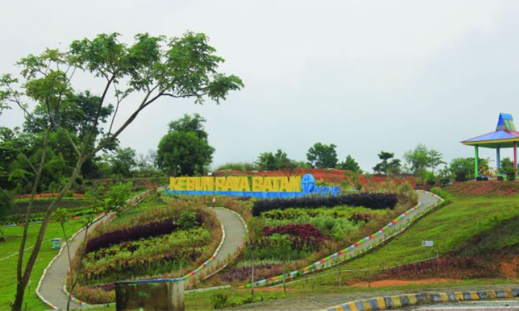 Kebun Raya Batam, Wisata Keluarga Favorit & Sarana Edukasi di Kepulauan Riau