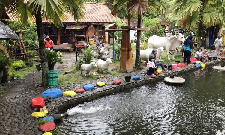 Aktivitas Kampung Flory Sleman